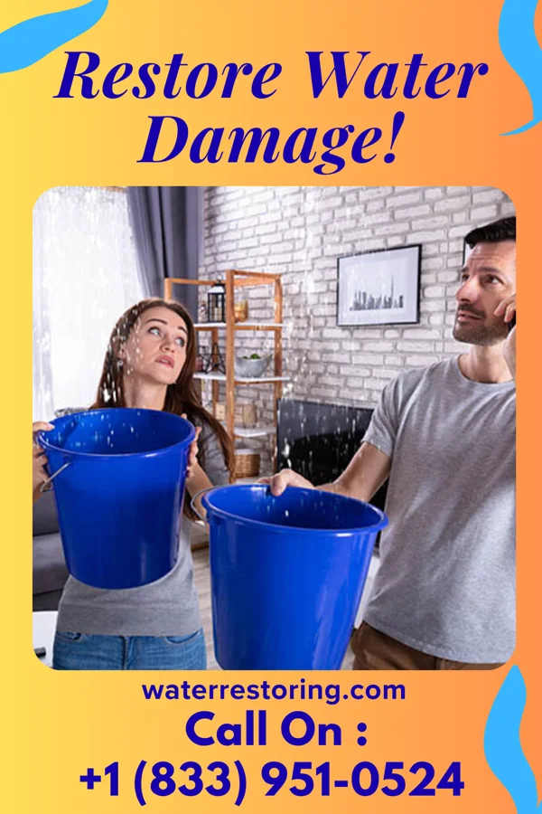water restoration Best Water Cleanup Brothers Springfield