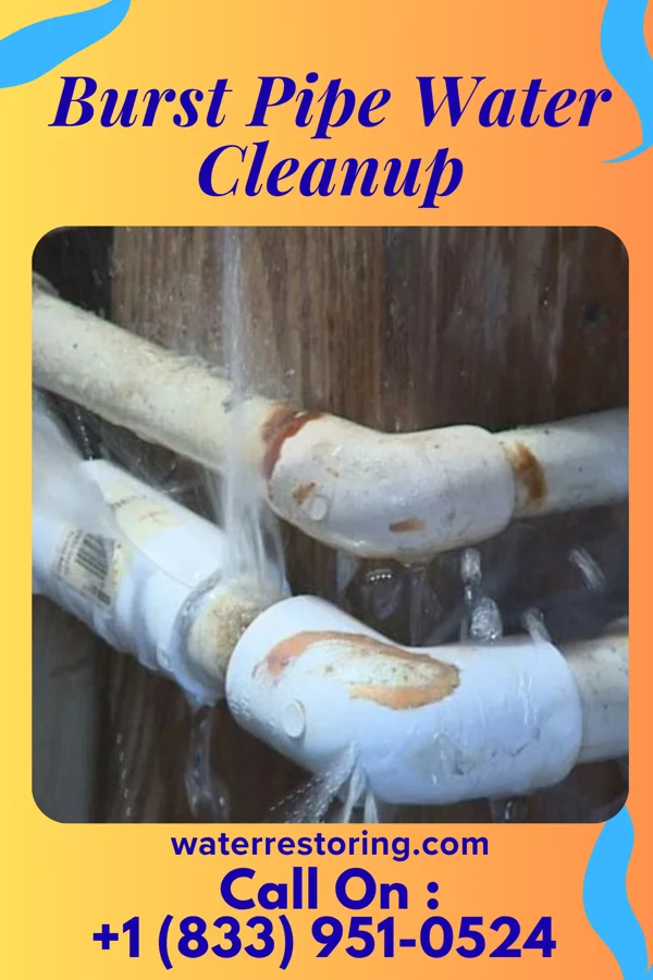 Burst Pipe Water Cleanup in Springfield, LA