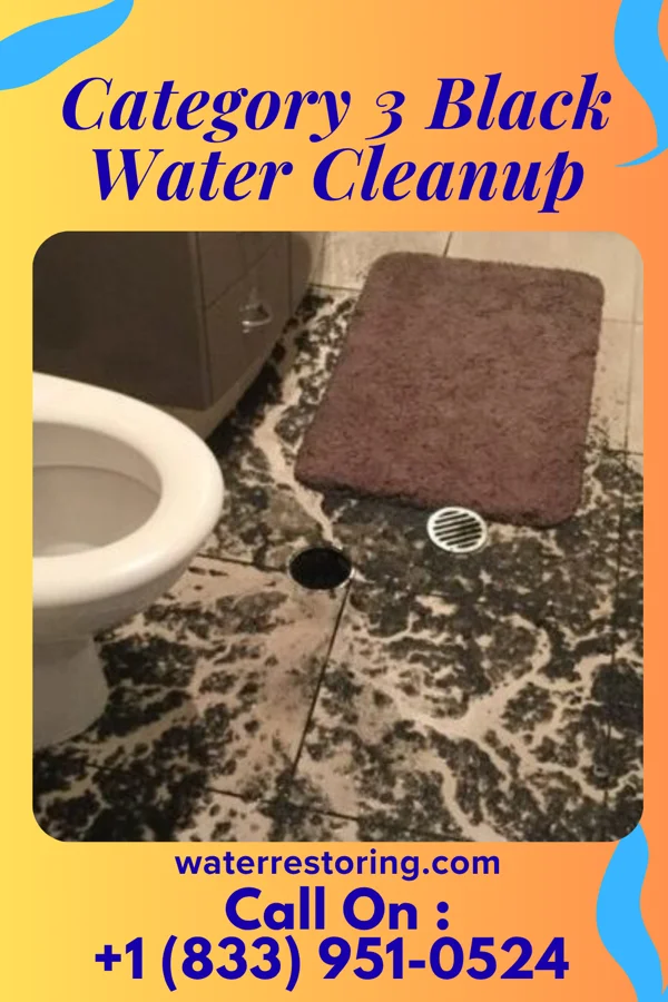 Category 3 Black Water Cleanup in Springfield, LA
