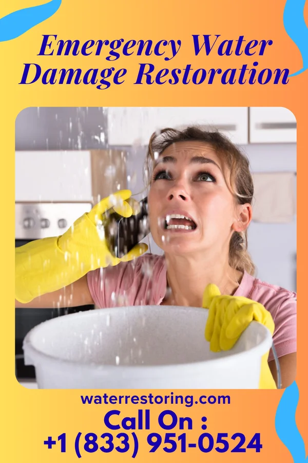 Emergency Water Damage Restoration in Springfield, LA