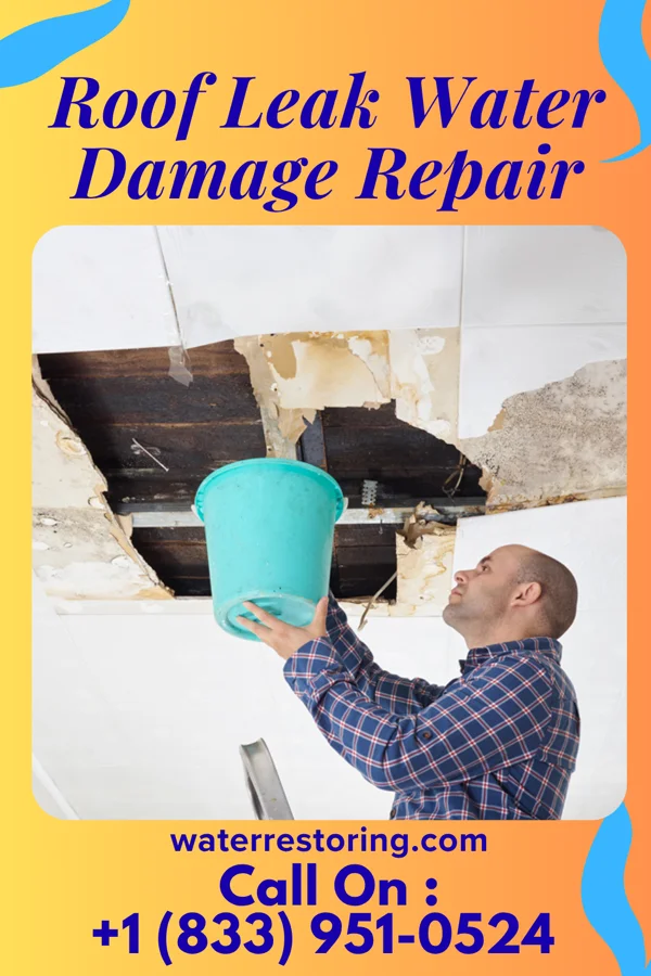 Roof Leak Water Damage Repair in Springfield, LA